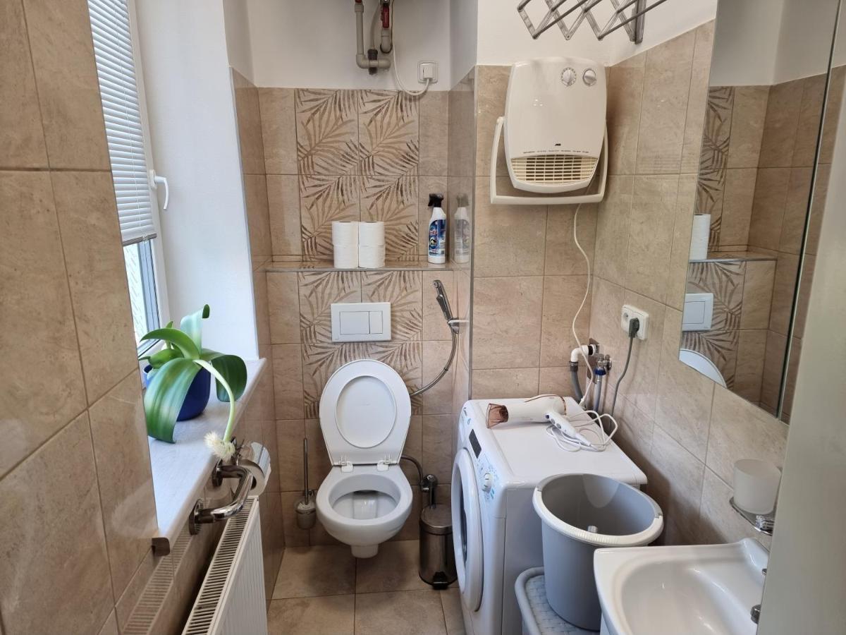 Garsoniera Dukla 289 Apartment Decin Bagian luar foto